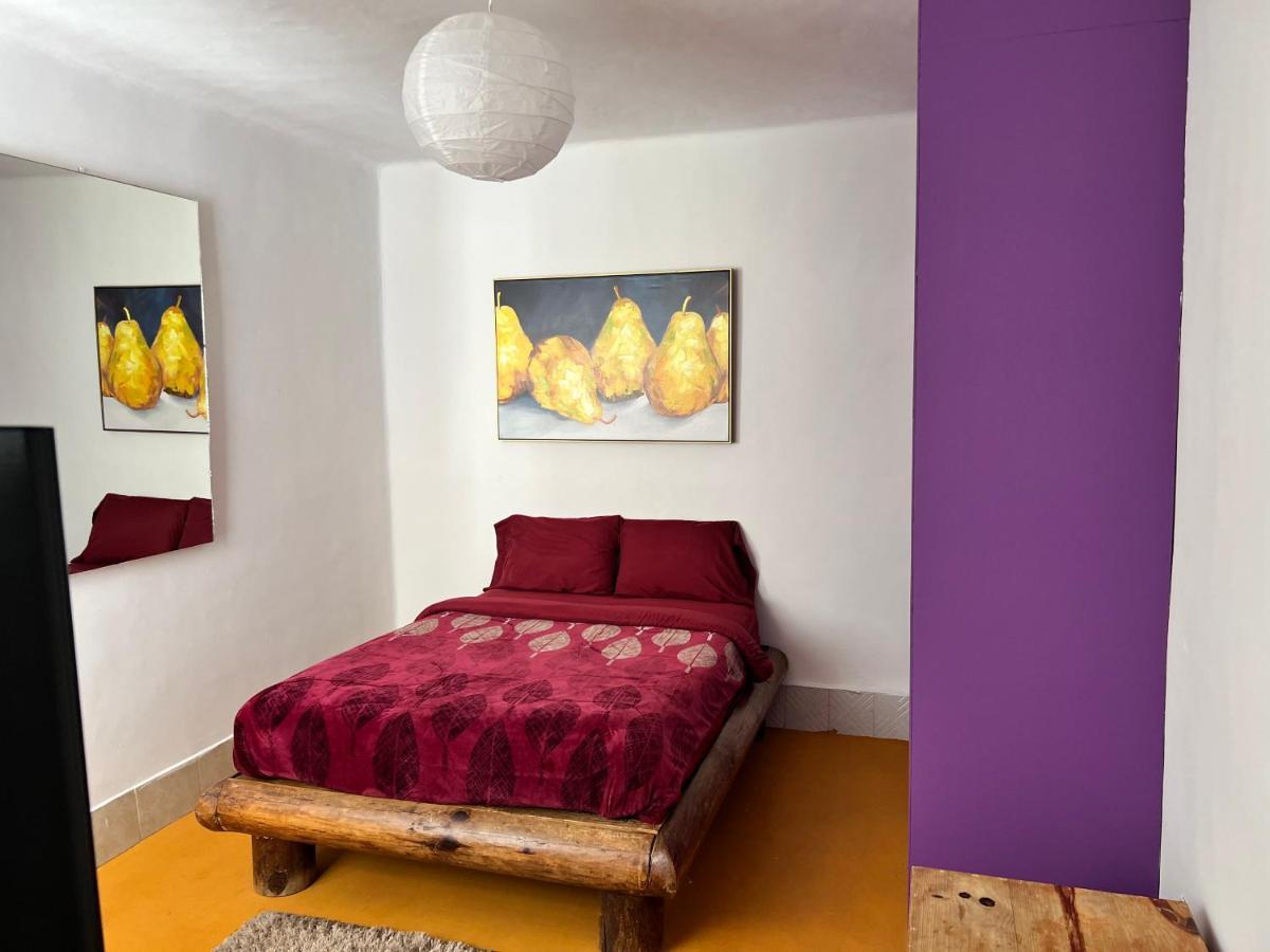 Apartamento Condesa-roma Norte Charming Mexican Style *