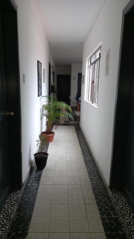 A3 Cuarto Condesa Amsterdam Habitación en casa particular *