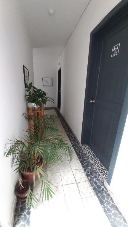 A9 Con Bano Propio Condesa Amsterdam *