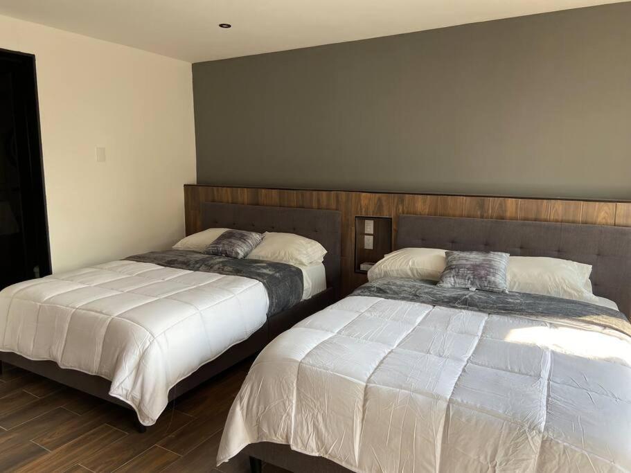 Bernard 5 By Royal Polanco Apartamento