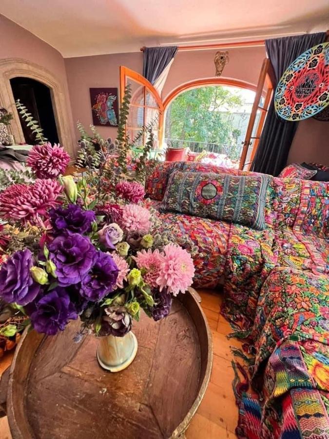 Gallery And Boutique In San Angel Bed and breakfast