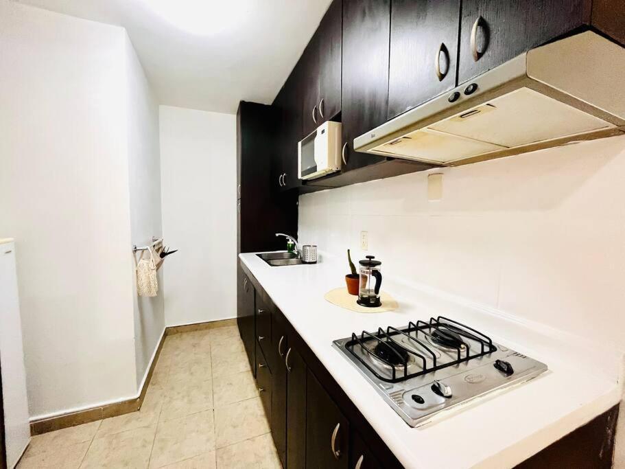 Tu Lugarcito En La Condesa. Apartamento