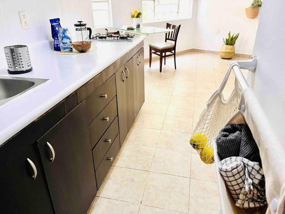 Tu Lugarcito En La Condesa. Apartamento *