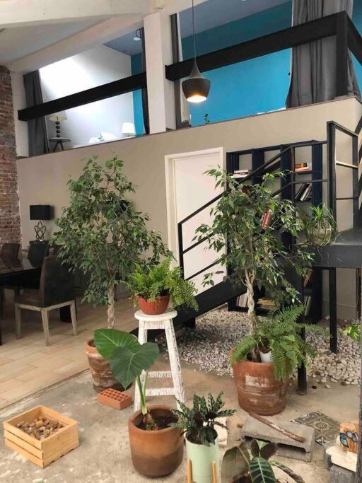 Apartamento Loft Condesa México DF