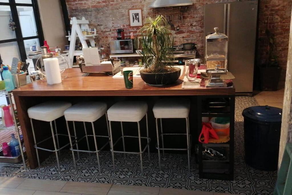 Loft Condesa Apartamento *