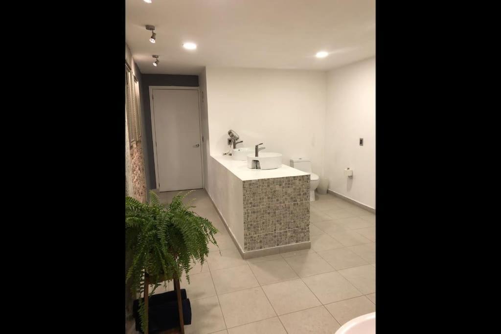 Apartamento Loft Condesa *