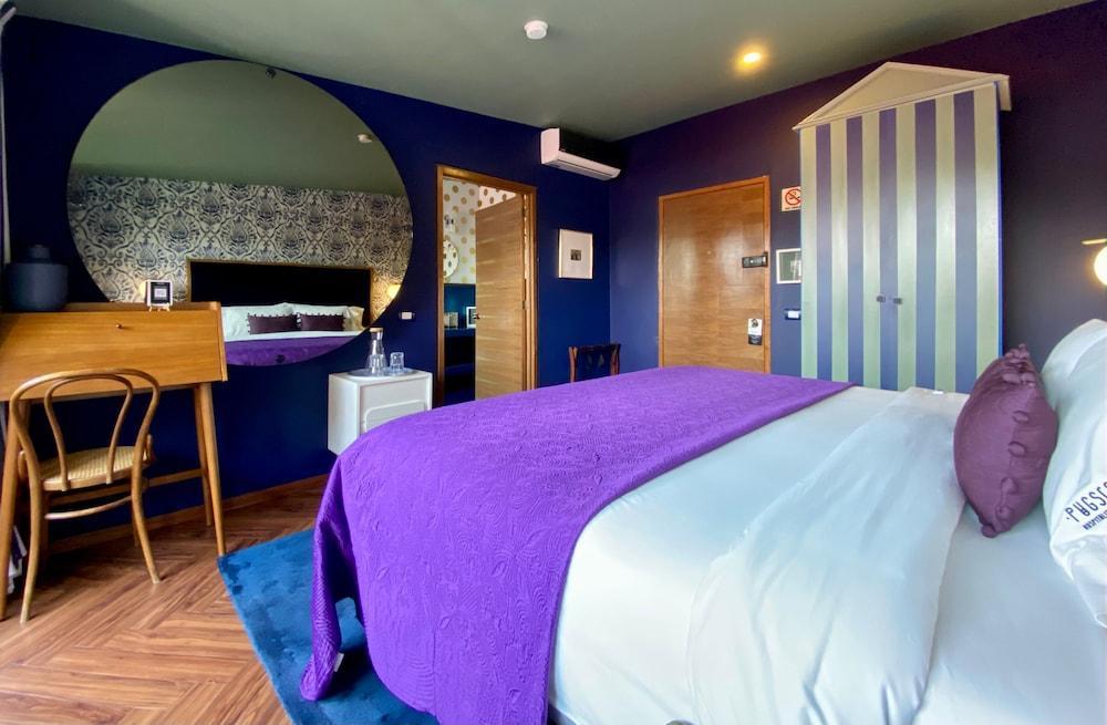 Pug Seal Polanco Anatole France Hotel