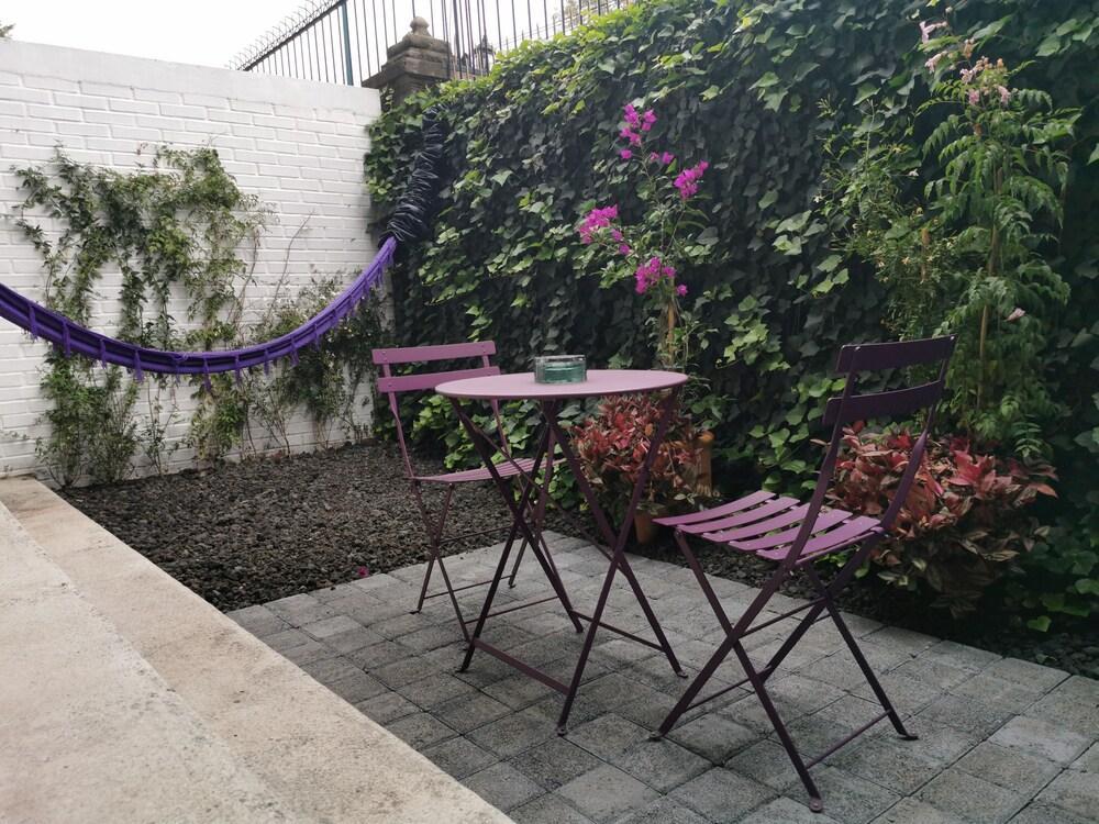 Pug Seal Polanco Anatole France 5*