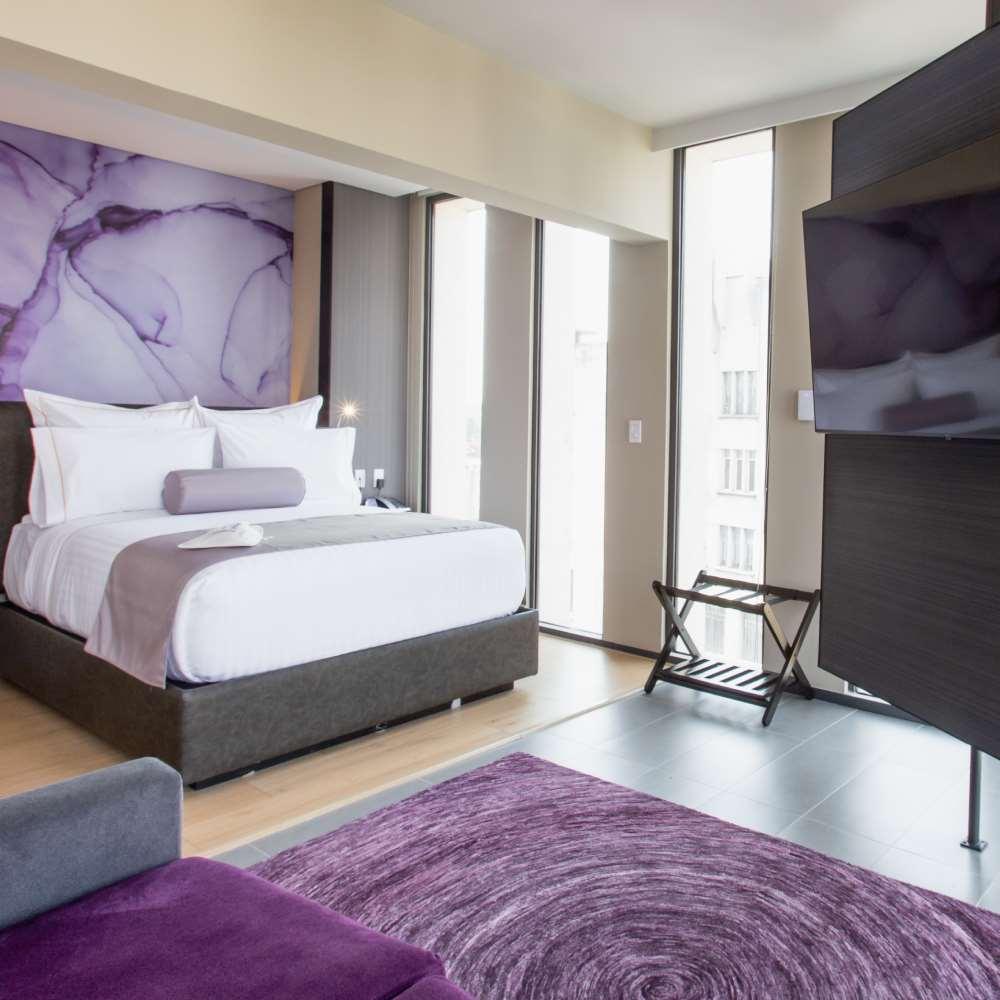 Hs Hotsson Cdmx Condesa Sur Hotel México DF