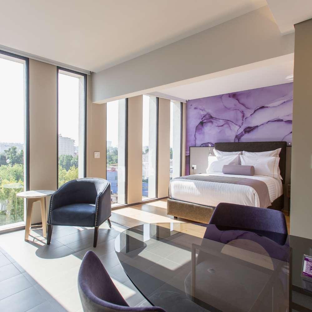 Hotel Hs Hotsson Cdmx Condesa Sur México DF