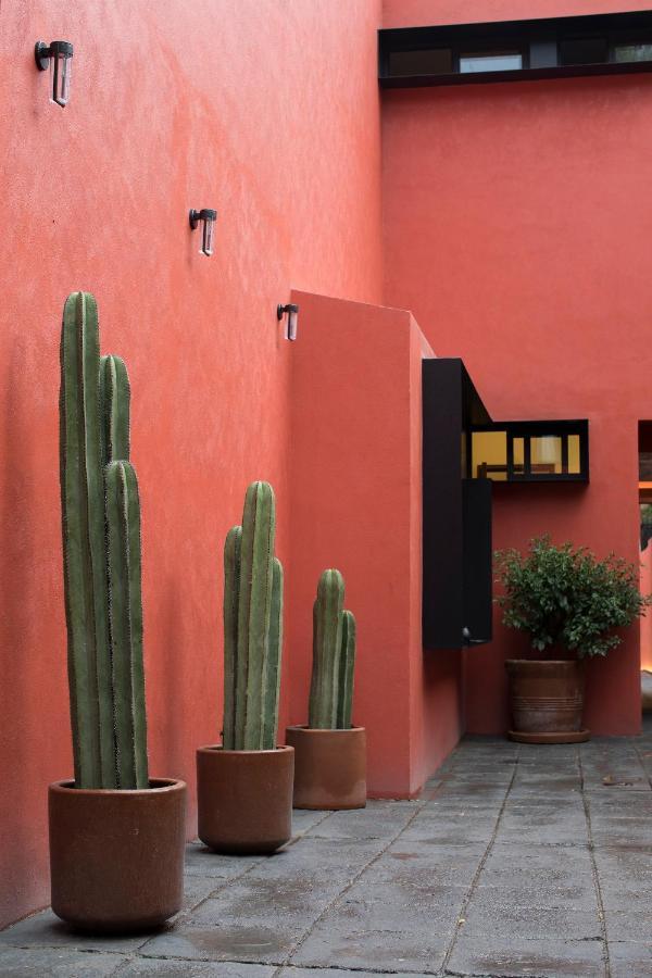 Hotel Tonalli Casa Boutique