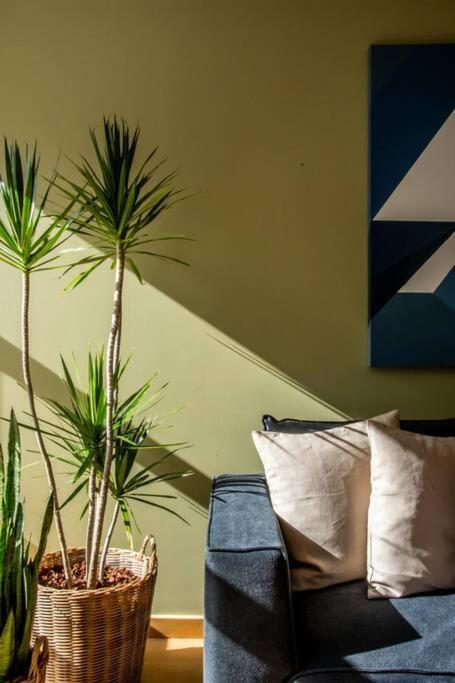 New 2br With Pool And Rooftop * México DF
