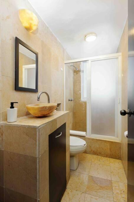Apartamento Balcon Azul Condesa Cdmx *