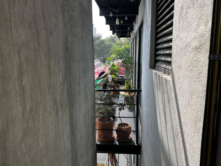 Apartamento Art & Design Cdmx *