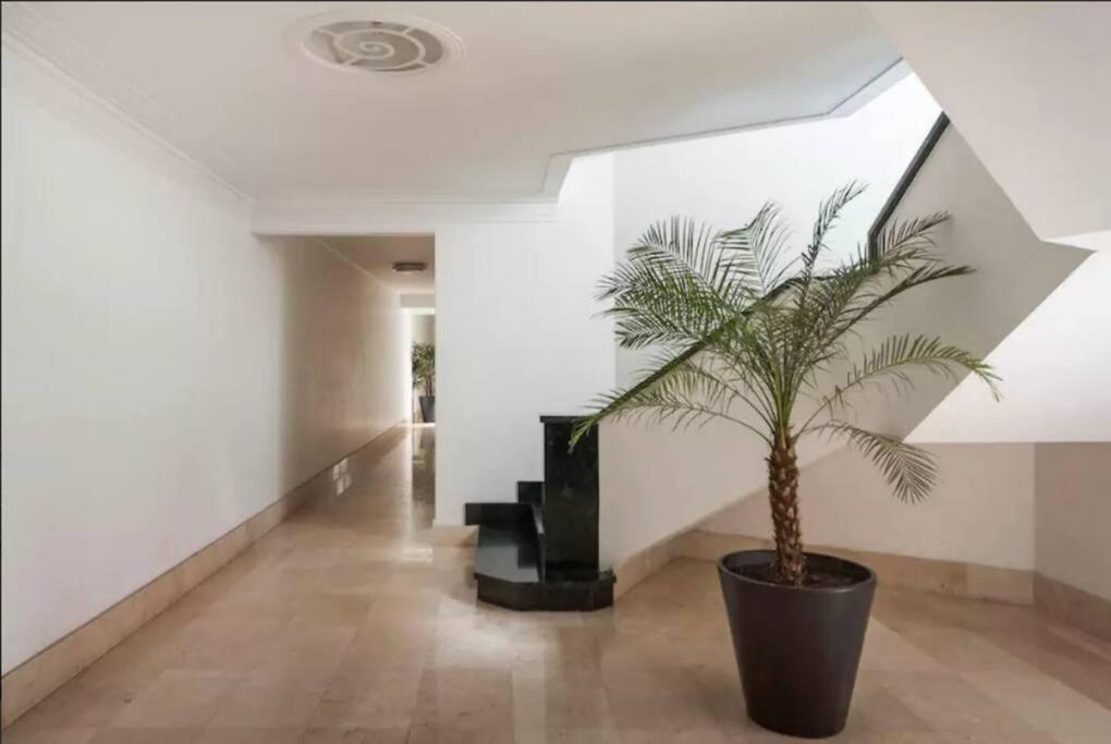 Condesa Campeche 3 Charm 2br 1ba With Expansive Living Space Apartamento *