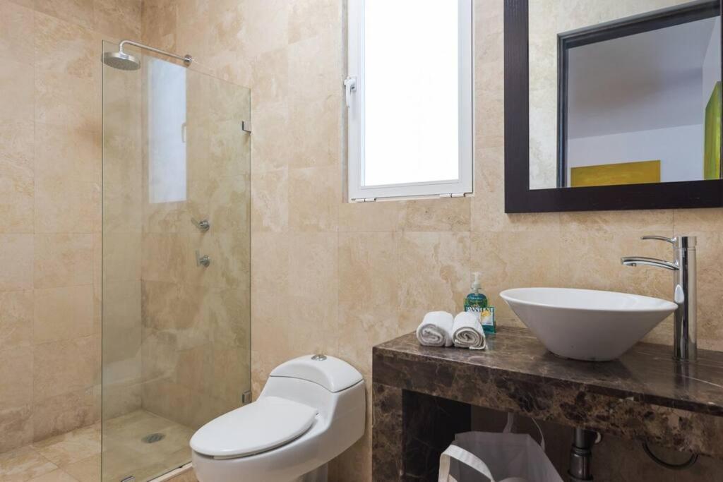 Apartment Condesa Amsterdam E Cozy Living Space In The Heart Of The On Amsterdam Avenue Mexico City