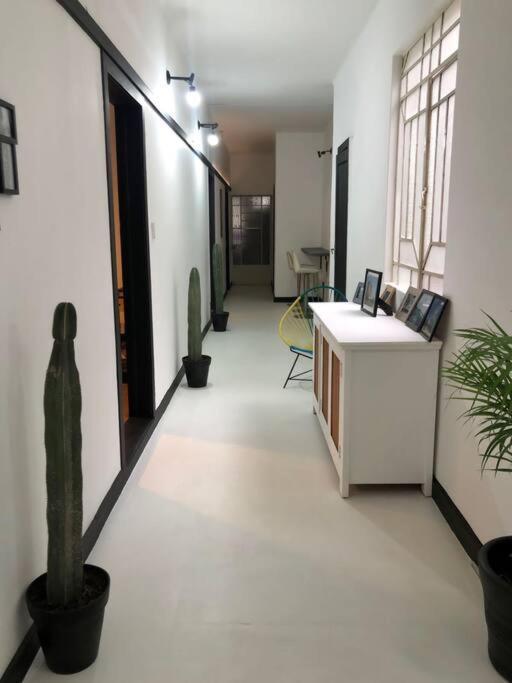 C2 Cuarto Condesa Amsterdam * Mexico City