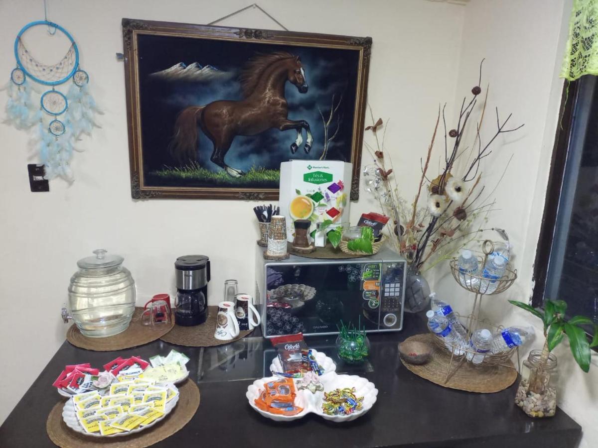 Habitacion En Departamento Compartido Con Consultorio Holistico En Zona Turistico Hospedagem domiciliar Cidade do México