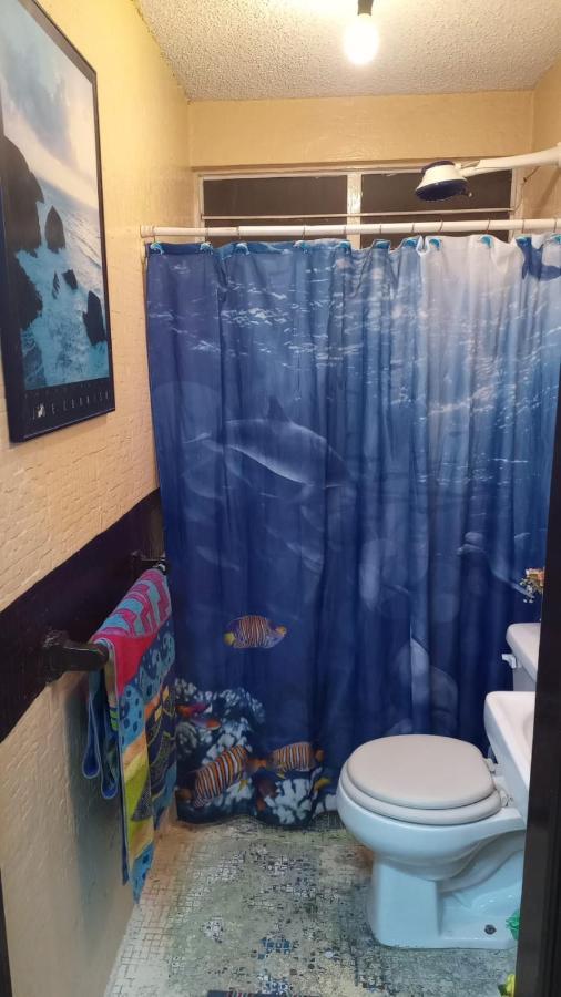 Habitacion En Departamento Compartido Con Consultorio Holistico En Zona Turistico * Cidade do México