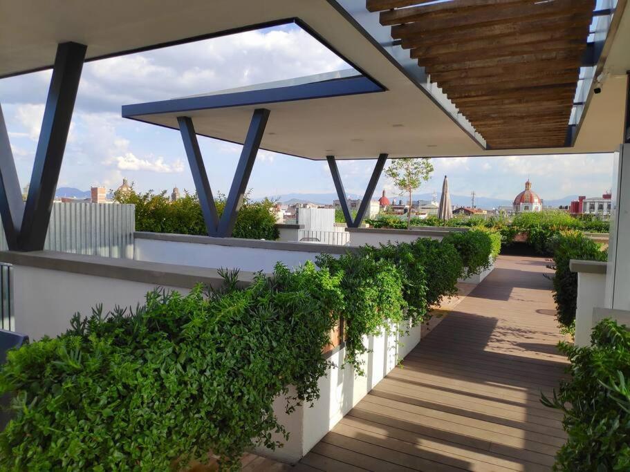 Comfy, Intimate With A Haunting Terrace * México DF