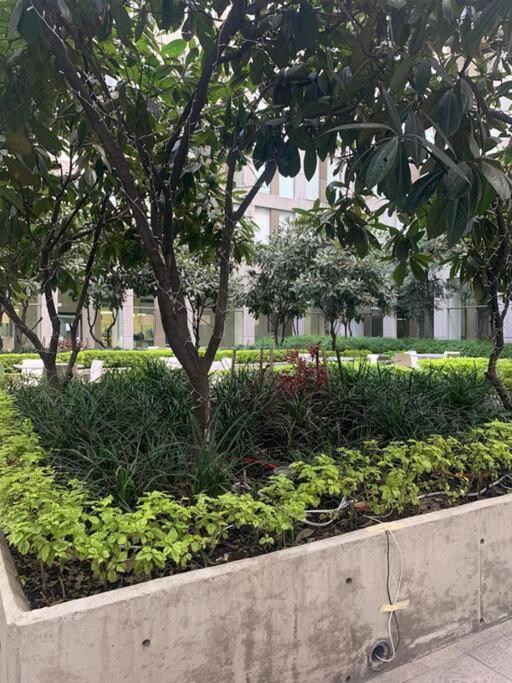Acogedor Y Hermoso Depto, En El C.historico Cdmx * Cidade do México