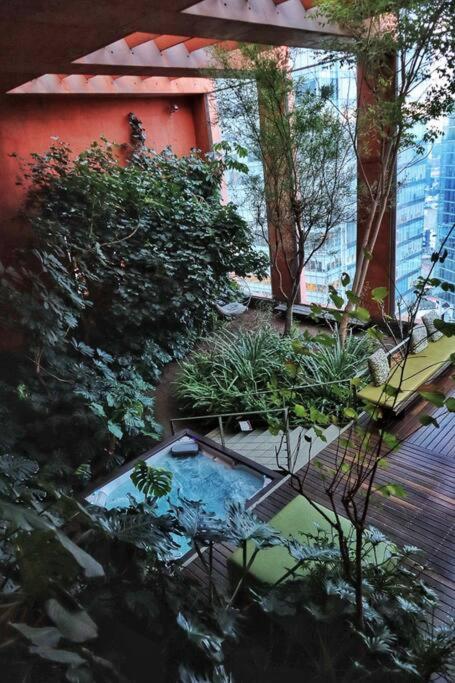 The Epic Flat In Town! * México DF