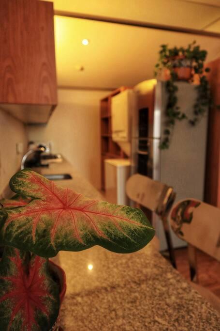The Epic Flat In Town! *
