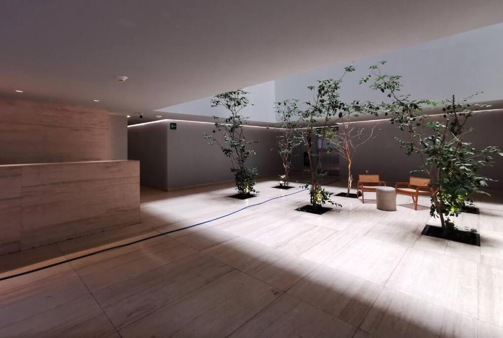 Apartamento Luxury In Roma Norte *
