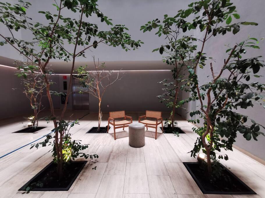 Apartamento Luxury In Roma Norte *