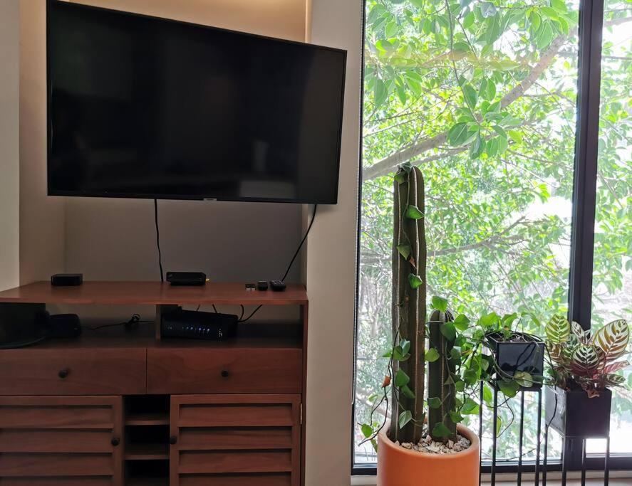 Apartamento Luxury In Roma Norte