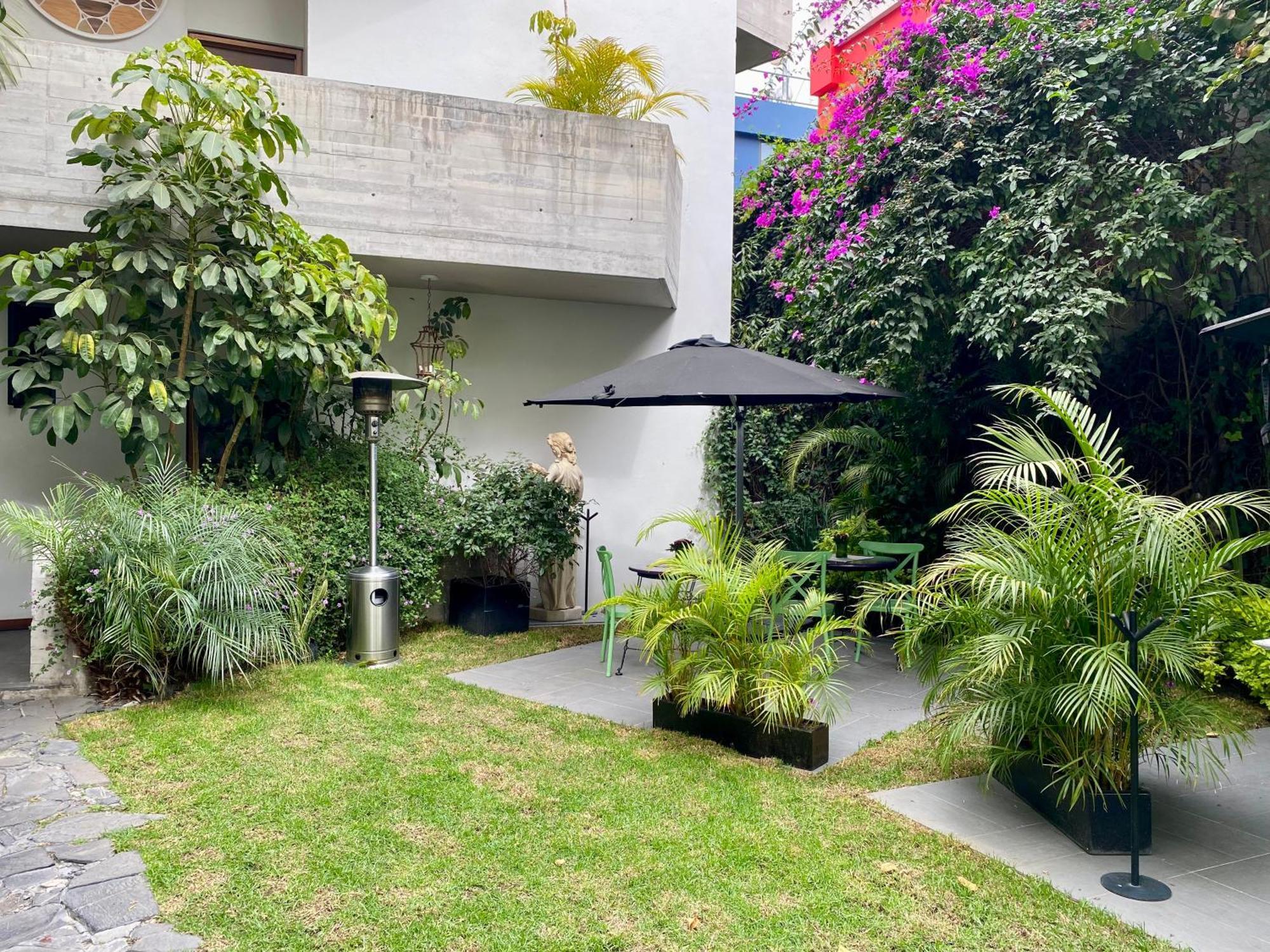 Pug Seal Polanco Anatole France Hotel 5*