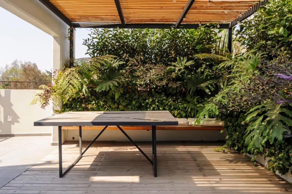 Stunning Penthouse With Terrace In Condesa