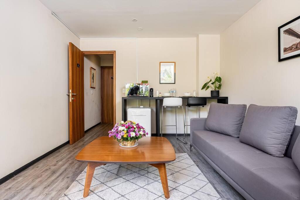 Loft Con Terraza Apartamento