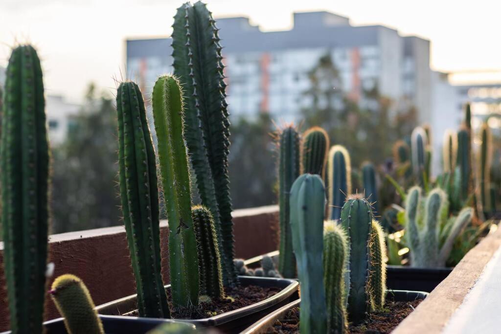 Apartment L303 Ac Rooftop Views Business C Mexico City