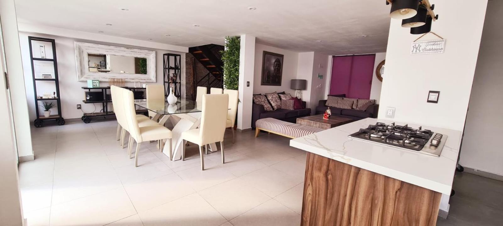 Calida Casa Pet Friendly, Cdmx Mexico City