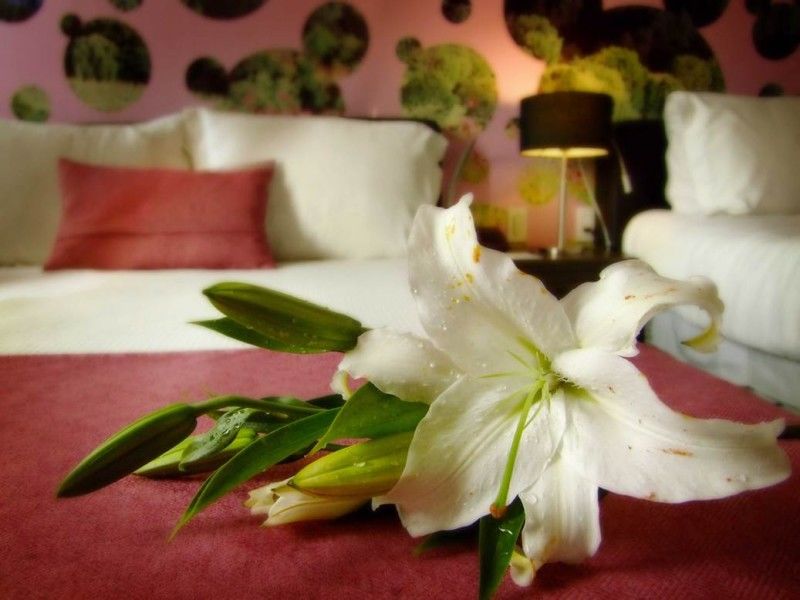Del Angel Reforma Hotel 3*
