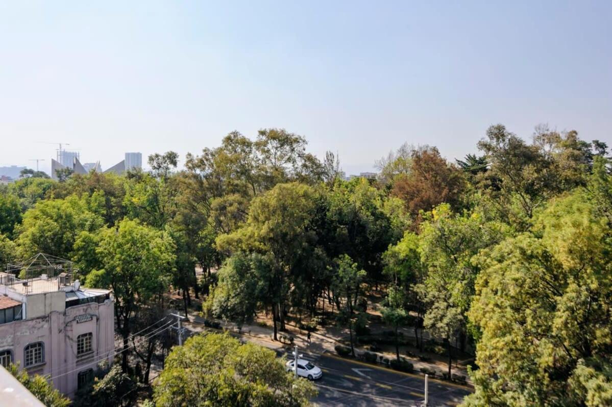 Stunning Penthouse With Terrace In Condesa *
