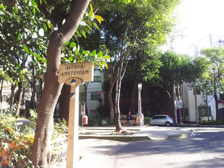 Parque Appartment. Very Sunny And Renewed Flat. Apartamento *