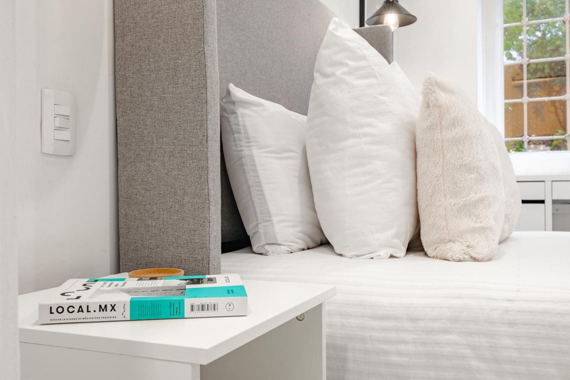 Apartamento Ejecutivas Polanco Anzures