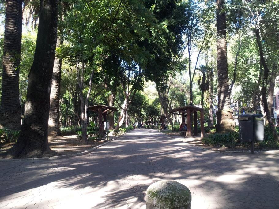 Apartamento Parque Appartment. Very Sunny And Renewed Flat. Cidade do México