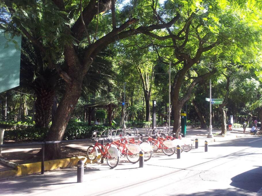 Apartamento Parque Appartment. Very Sunny And Renewed Flat.
