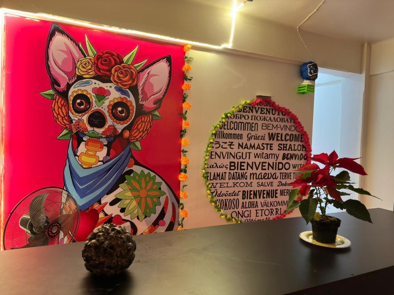 Casa Eufemia * Cidade do México