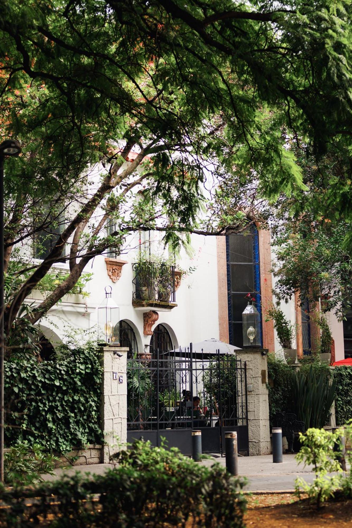 Orchid House Polanco