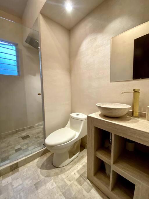 Apartamento Artist Loft & Greenhouse Oasis - Condesa