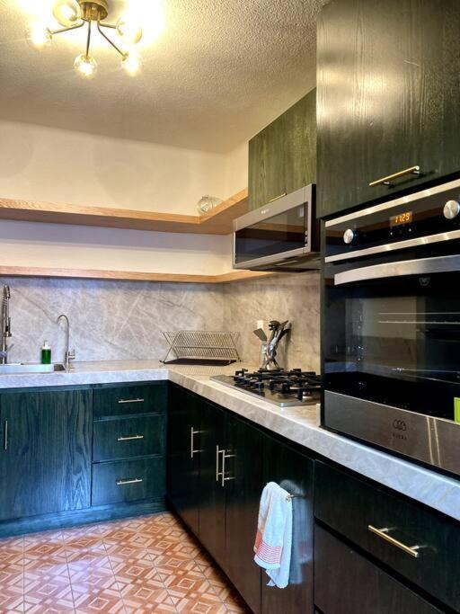 Artist Loft & Greenhouse Oasis - Condesa Apartamento
