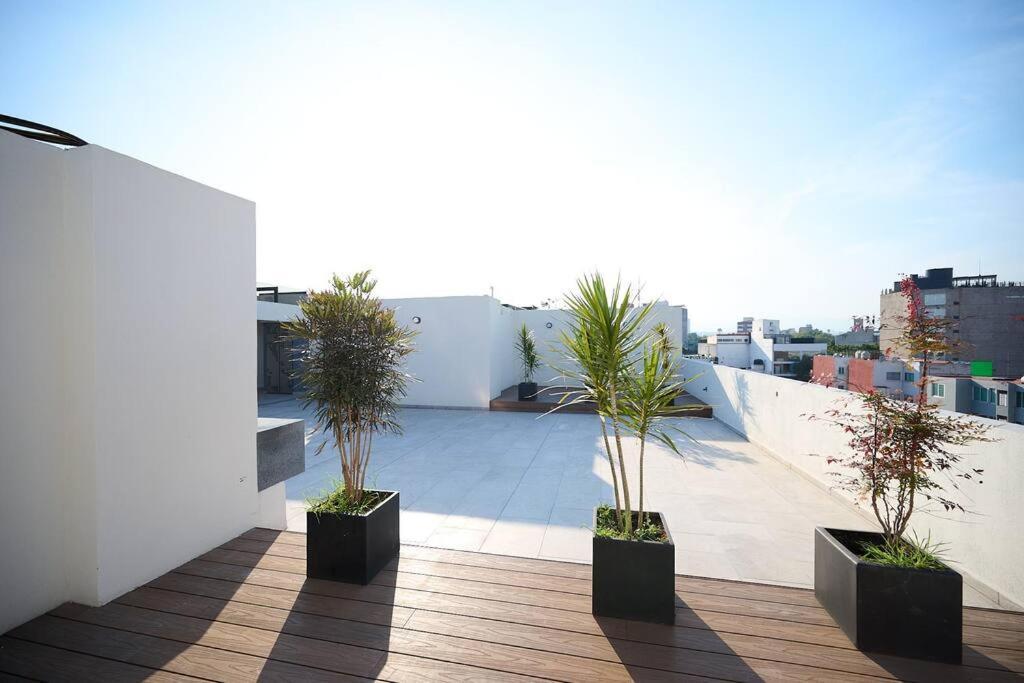 Luxury Chic& Cozy In Heart Of Roma Norte *