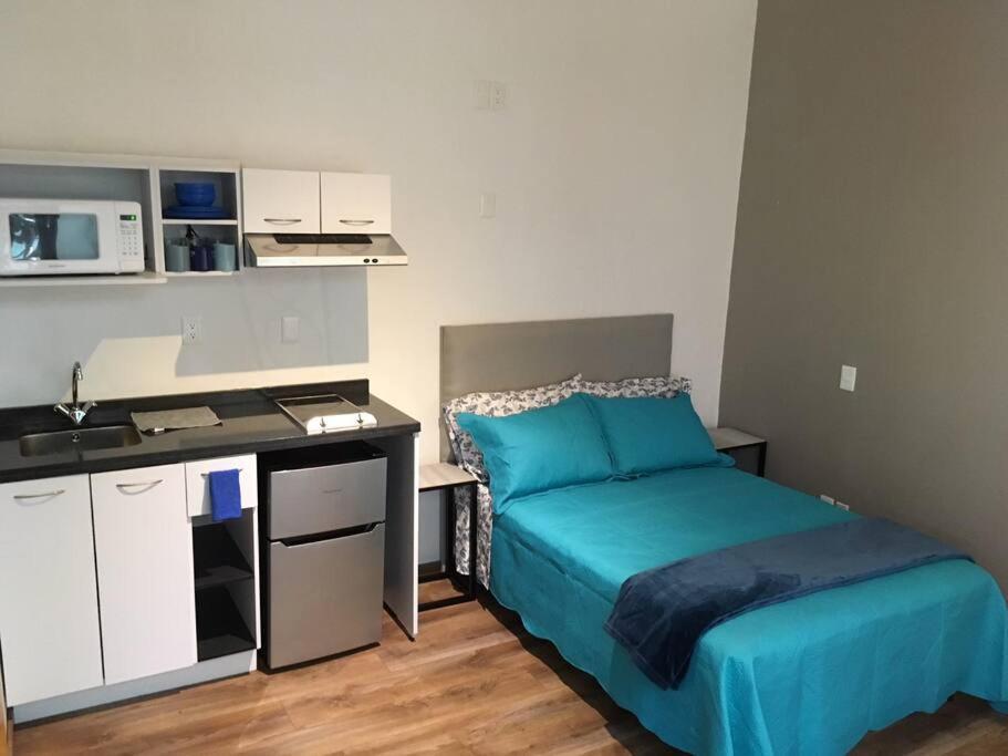 Mini Loft 107 * Mexico City