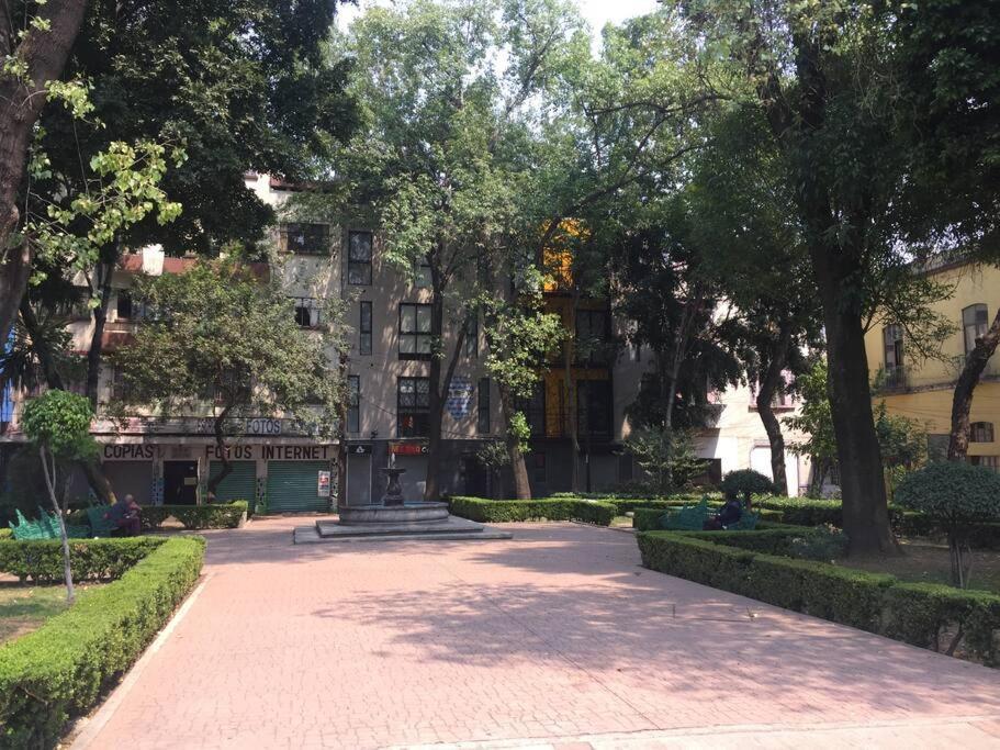 Mini Loft 107 * Mexico City