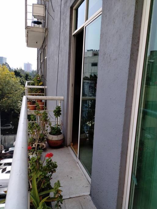 Apartamento Castillo De Chapultepec México DF
