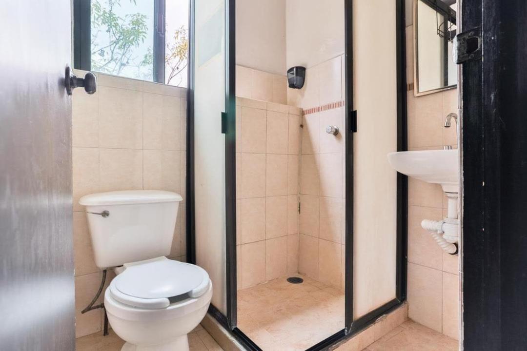 Roma * México DF